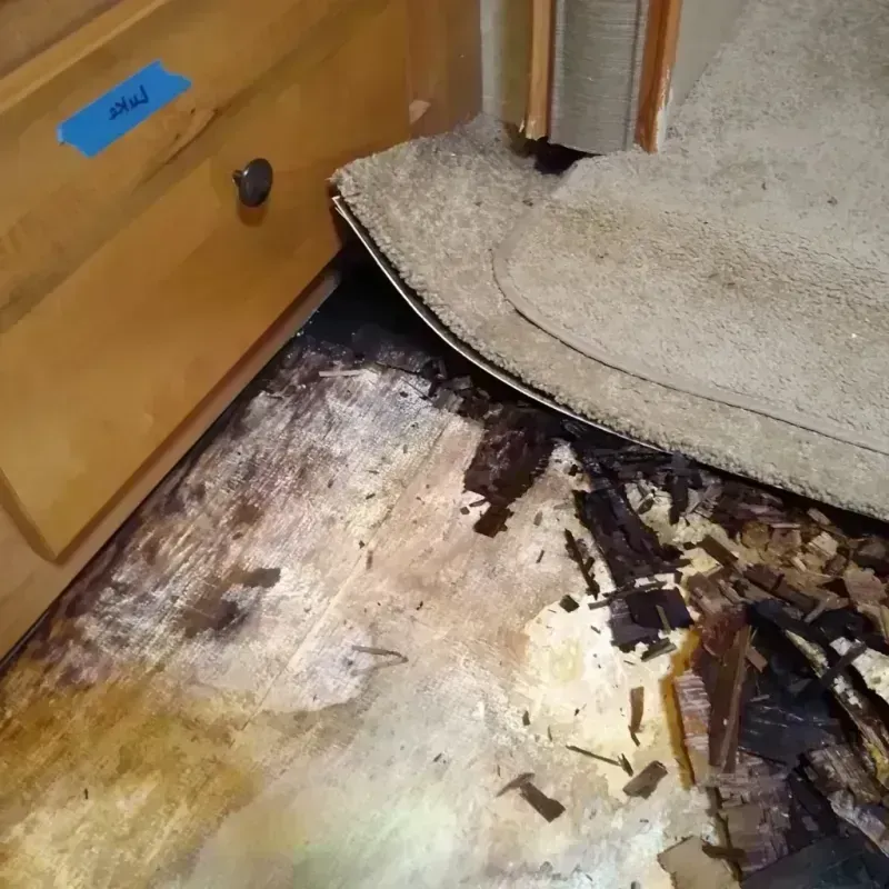 Best Wood Floor Water Damage Service in Pickens County, AL